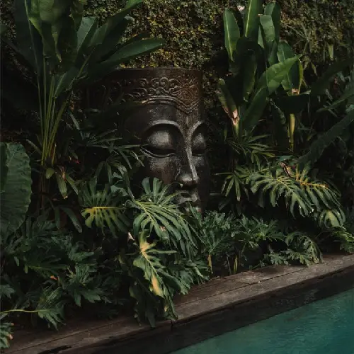 Suggestions for the original honeymoon