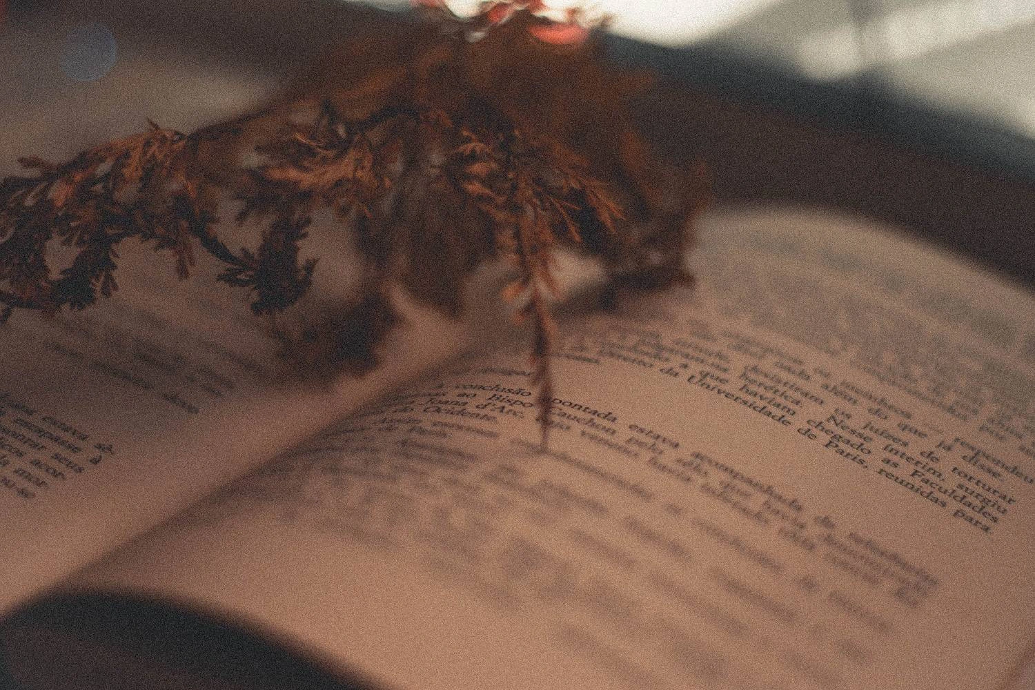 Weaving poetry in wedding wishes