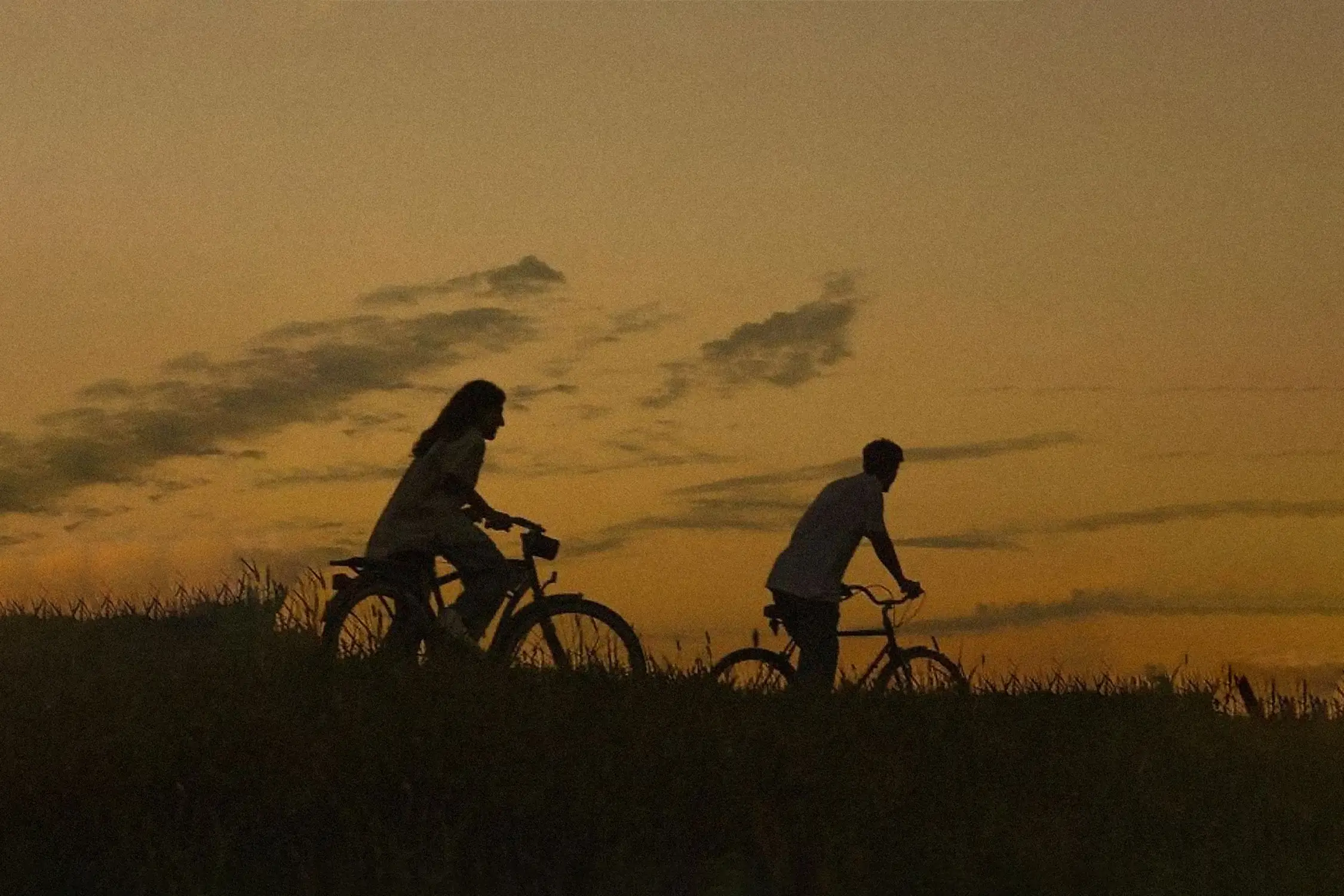 Create Lasting Memories with Partner-Focused Bike Share Journeys