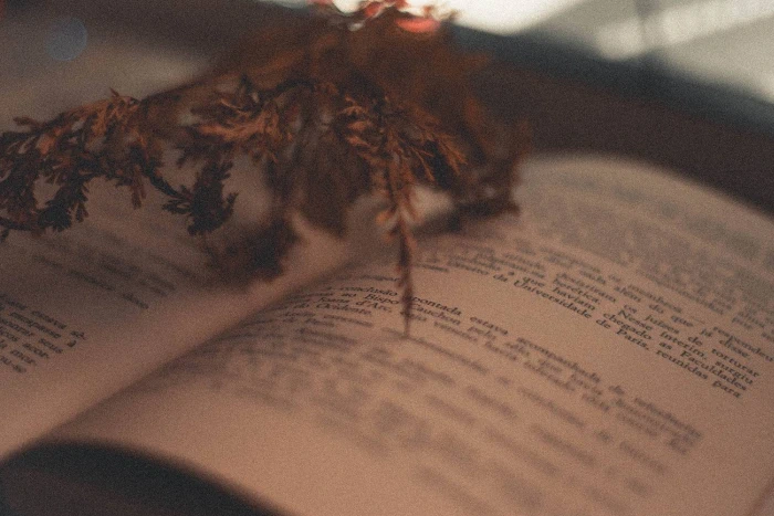 Weaving poetry in wedding wishes