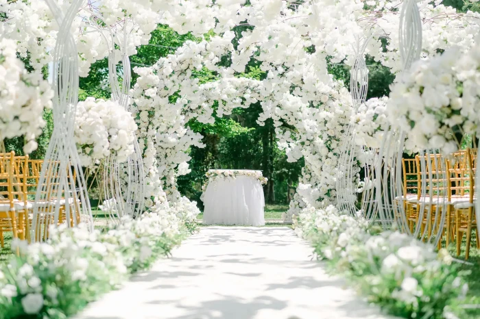 Balancing Wedding Dreams and Budget with Smart Loan Choices