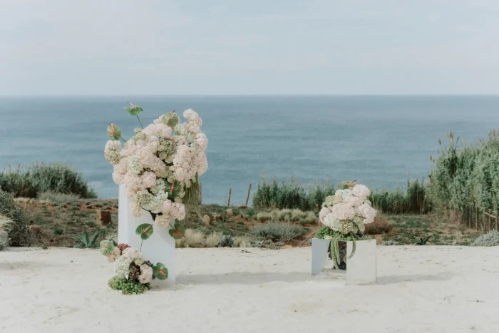 Hiring a Pro Photographer vs. A Wedding Content Creator