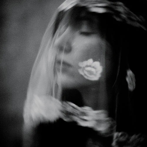 Lelia Scarfiotti Photography