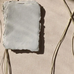 Idyll Paper