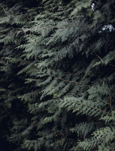 Photo: BRING ME SOMEWHERE NICE