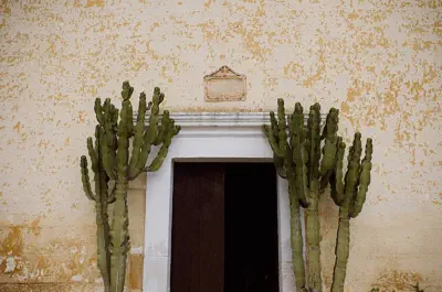 Photographer: FRANCESCA ANGRISANO