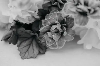 Photo: VANDA SCAZZARI PHOTOGRAPHY